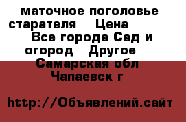 маточное поголовье старателя  › Цена ­ 3 700 - Все города Сад и огород » Другое   . Самарская обл.,Чапаевск г.